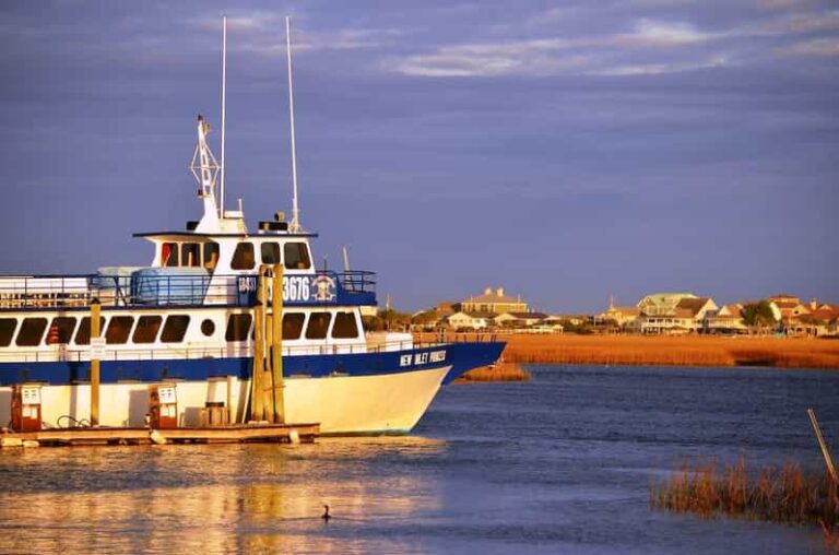 Murrells Inlet: Sunset Sealife Cruise