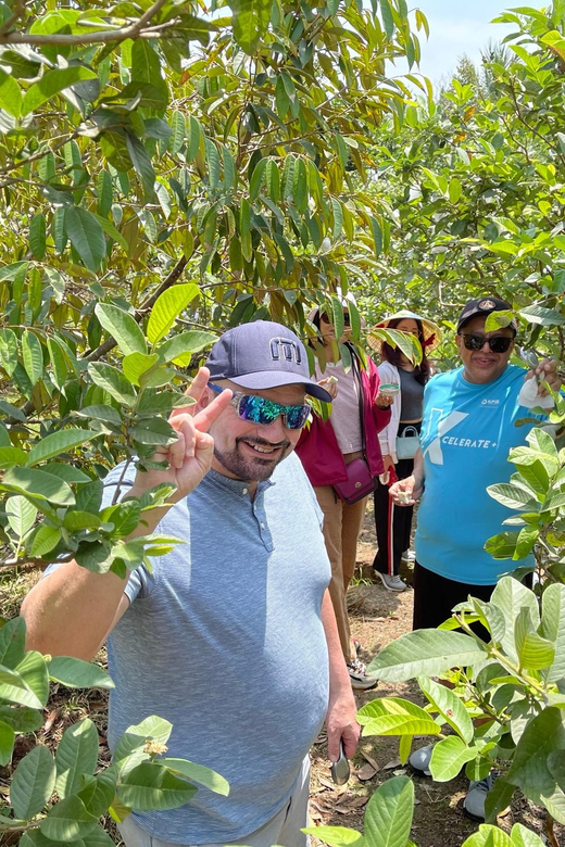 My Tho Day Cruise - Experience the Authentic Mekong Delta - Overview and Pricing