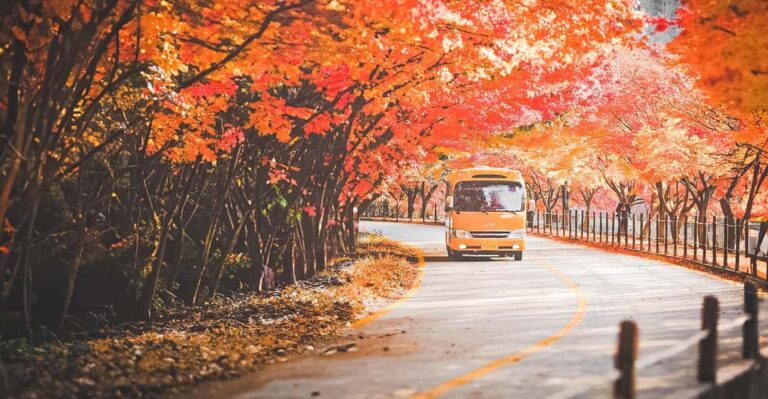 Naejangsan: Highlight of a Korean Autumn Day Trip From Seoul