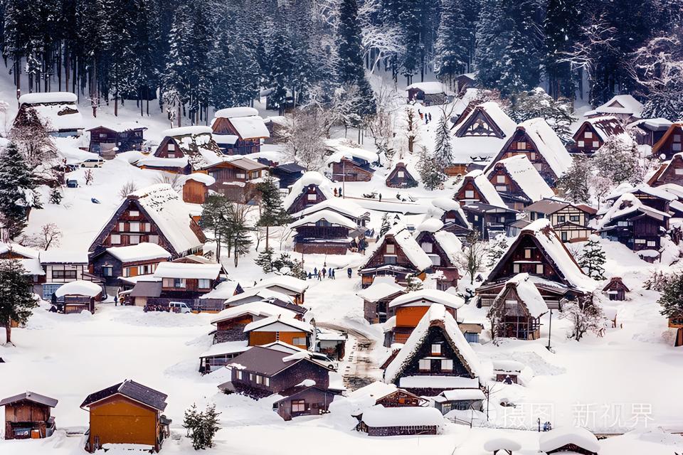 Nagoya: Hida Takayama and Gassho-zukuri Village Day Tour - Travel Details