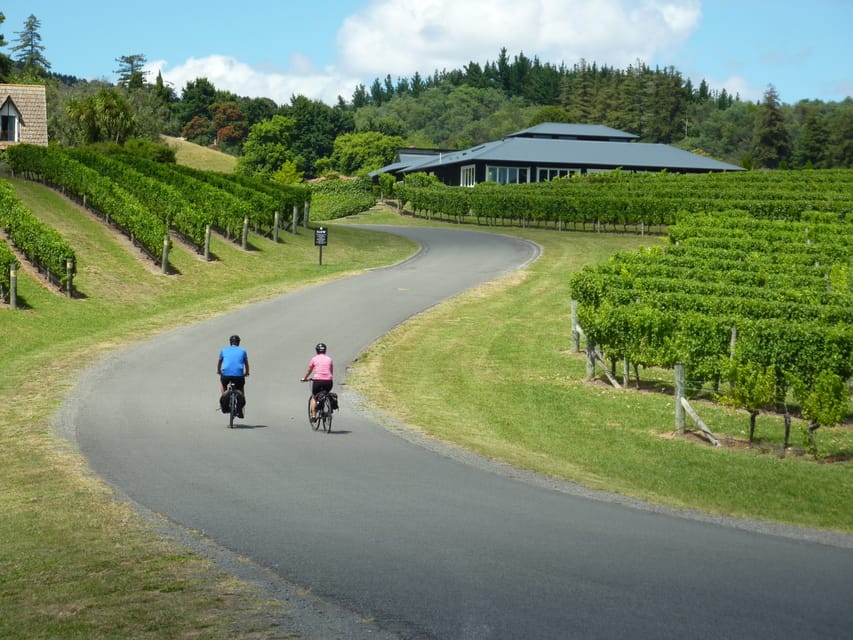 Napier: Cape Coast Winery Tour on Pedal or E-Bikes - Tour Overview and Pricing