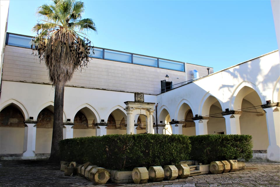 Nardò (Nardò-Lecce): Guided Tour of the Museum of Prehistory - Tour Overview