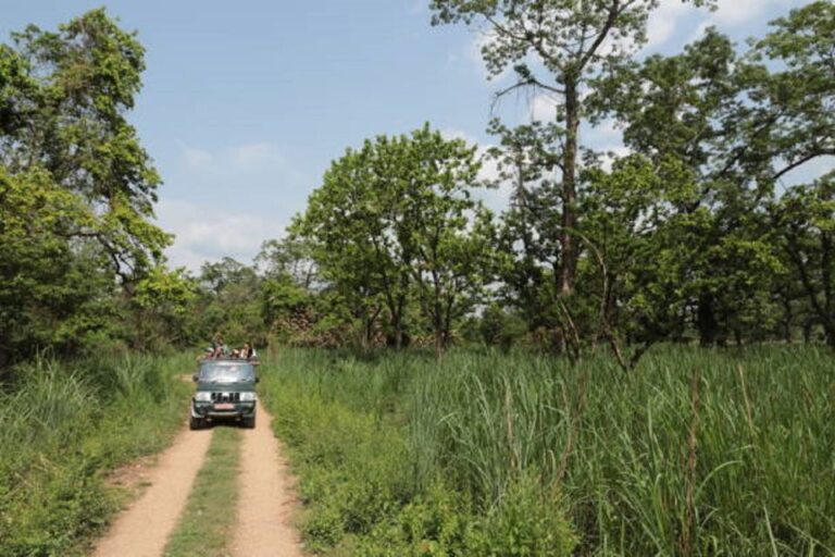 Nature Jungle Safari in Chitwan National Park 2 Night 3 Days