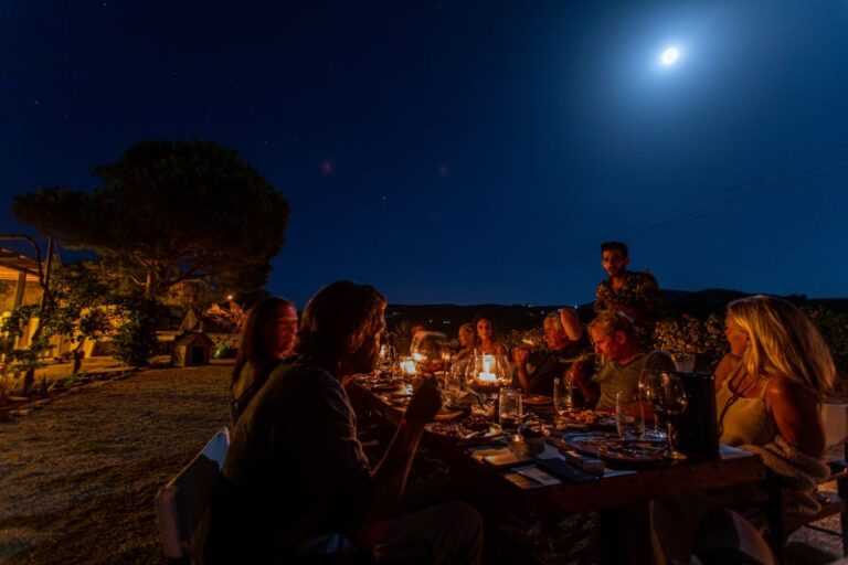 Naxos: Full Moon Dinner and Wine Tasting in a Vineyard