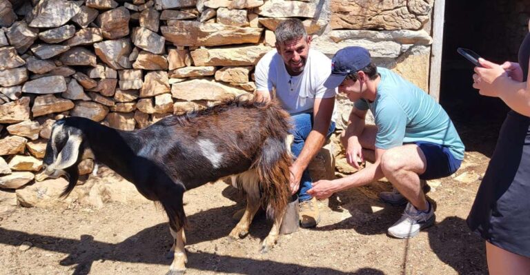 Naxos: Private E-Bike Tour With Lunch Ode-Yssey Uncharted