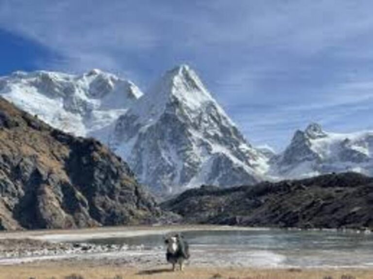 Nepal: Kanchenjunga Circuit Trek via Sele La Pass (4,480m)