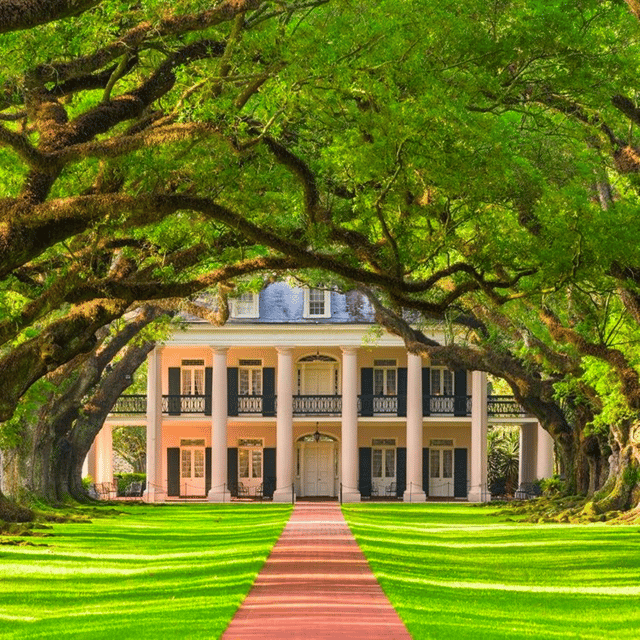 New Orleans: Oak Alley Plantation Tour and Transportation - Guided Tour Insights