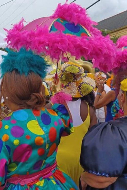 New Orleans: Treme Historical Walking Tour With Museum Visit - Tour Overview and Pricing