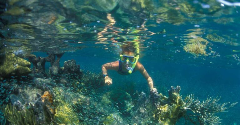 Nha Trang: Snorkeling Tour at Mun Island Marine Park