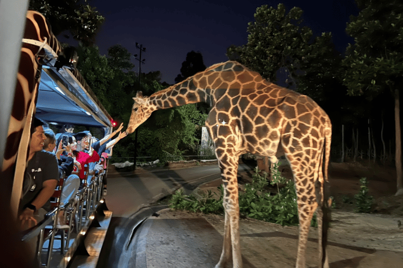 Night Safari With Pick up Service - Experience Highlights