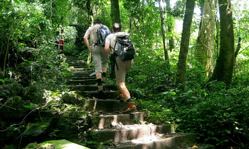 Ninh Binh: Cuc Phuong National Park One Day Small Group Tour - Tour Overview