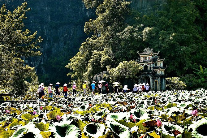 Ninh Binh Day Tour Small Group - Luxury Transfer - Key Attractions in Ninh Binh