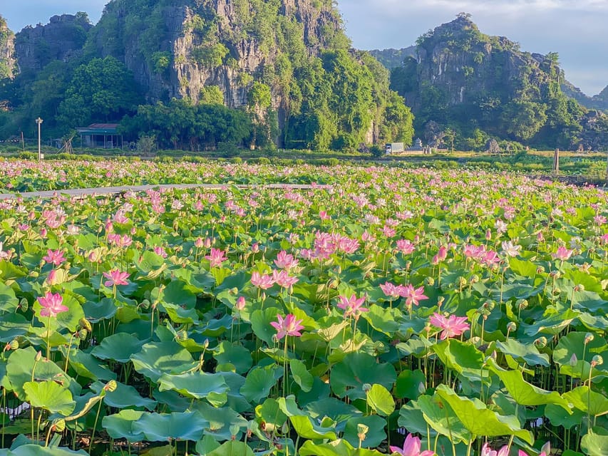 Ninh Binh Full-Day Trip: Bai Dinh, Trang An and Mua Caves - Tour Overview