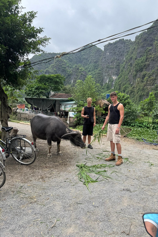 Ninh Binh Motorbike Tour - Tour Overview and Pricing