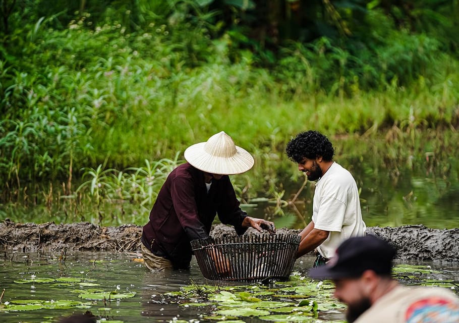 Ninh Binh: Rice Planting and Fishing by Basket Tour - Experience Highlights