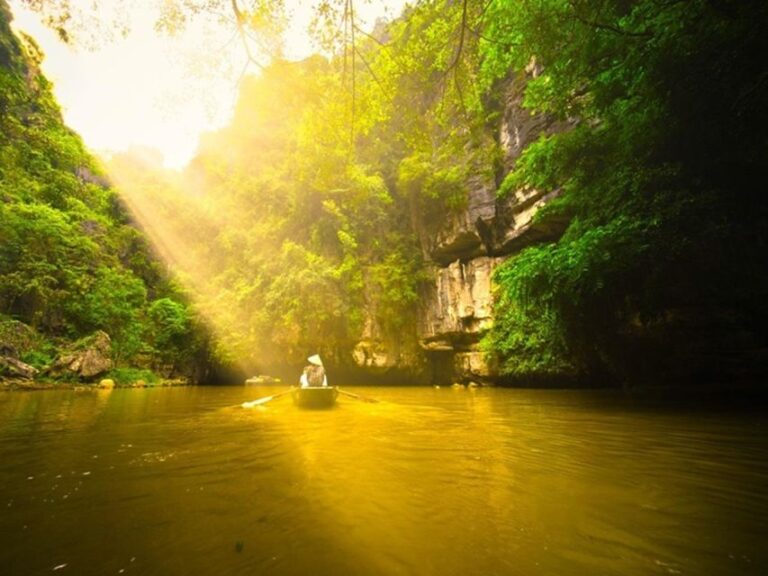 Ninh Binh Tour to Hoa Lu Tam Coc, Boat, Buffet, Cycling