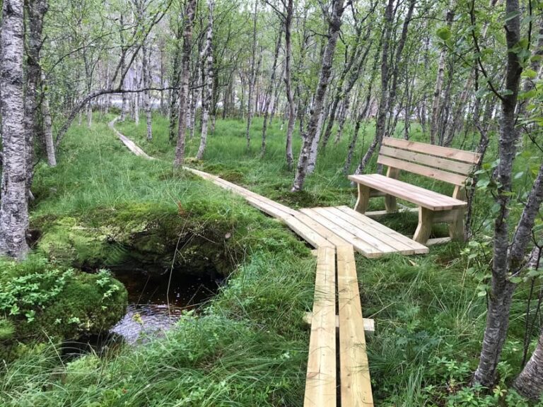 Norway: Experience Nature Through Sámi Eyes