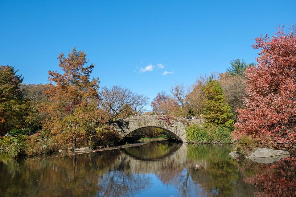 Nyc: Guided Central Park Private Pedicab Tour (60 Mins) - Experience and Itinerary