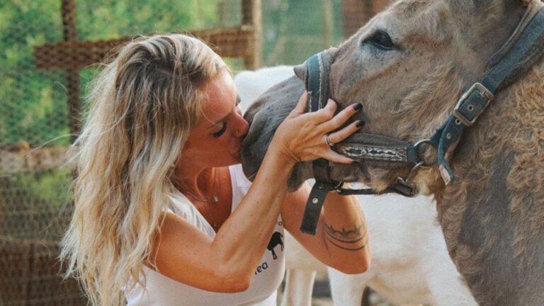 Olmedo: Visit to an Animal Shelter