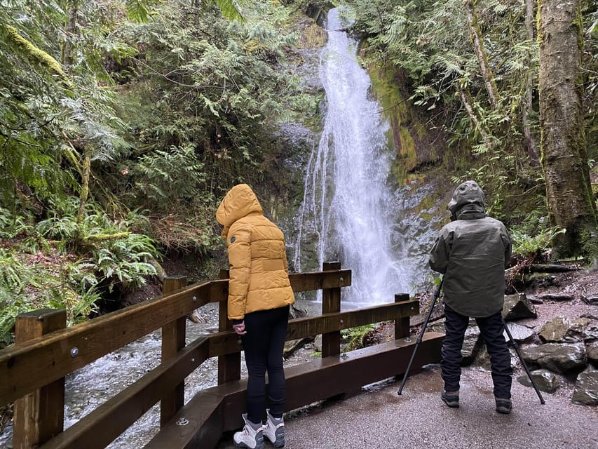 Olympic National Park: Half-Day Tour - Tour Overview