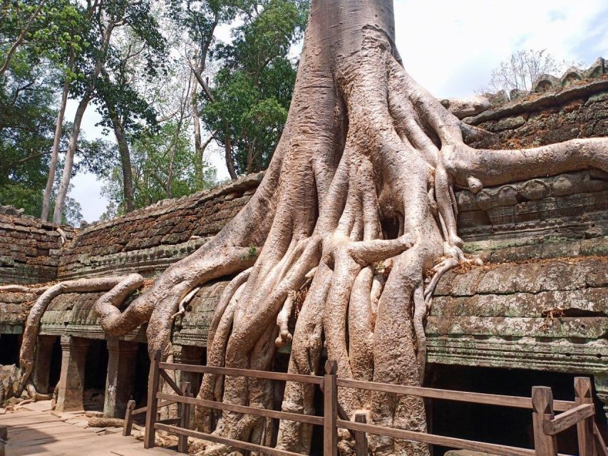 One Day Exploration to Angkor Wat, Angkor Thom & Ta Prohm - Tour Overview