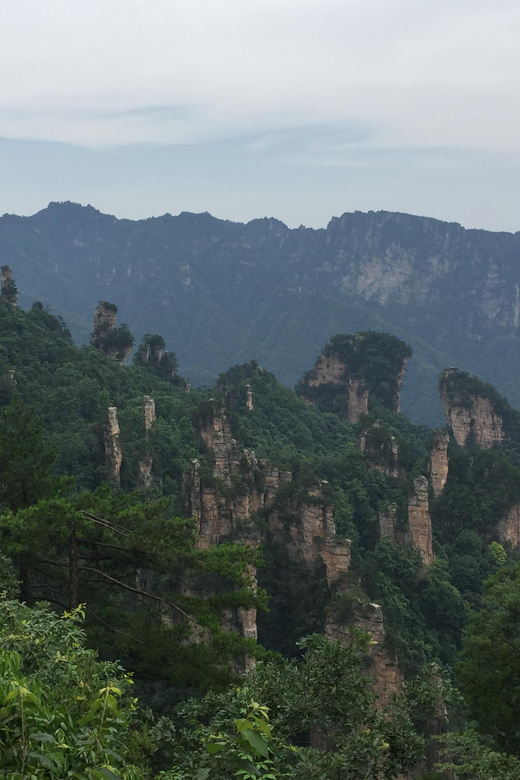 One Day Zhangjiajie National Forest Park Package Tour - Itinerary Highlights