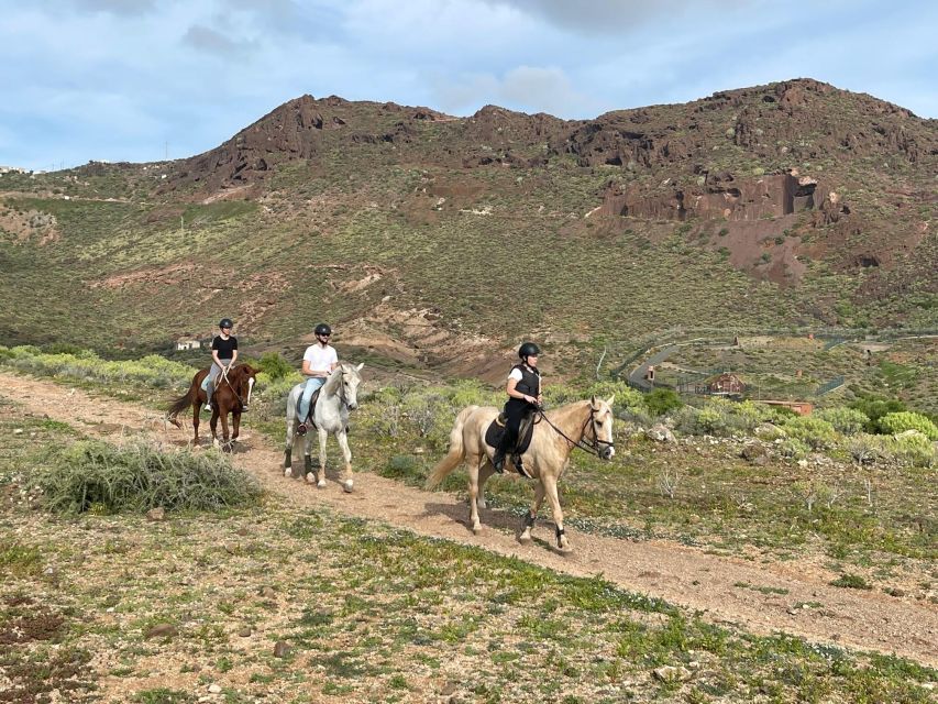 One Hour Horse Riding Tour in Gran Canaria - Tour Overview