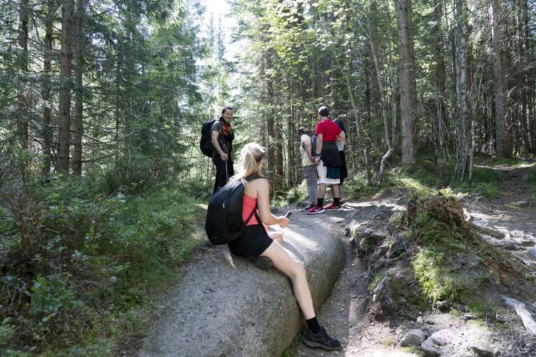 Oslo: Vettakollen Hike With Oslofjord View