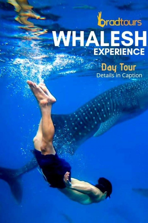 Oslob Cebu Whaleshark Watching Adventure - Itinerary and Activities