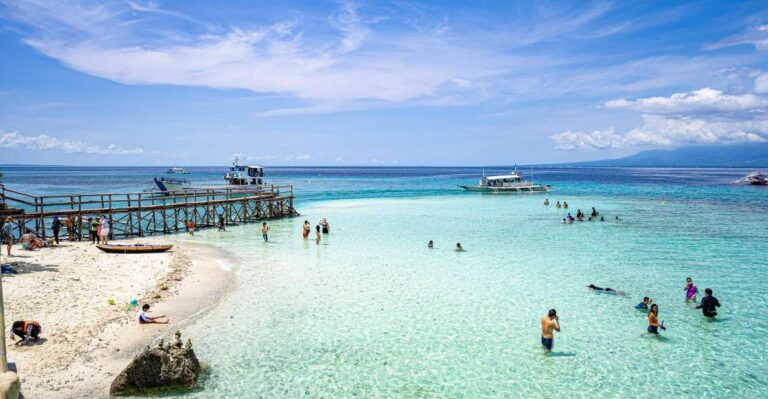 Oslob Whale Shark Snorkeling & Island Hopping to Sumilon