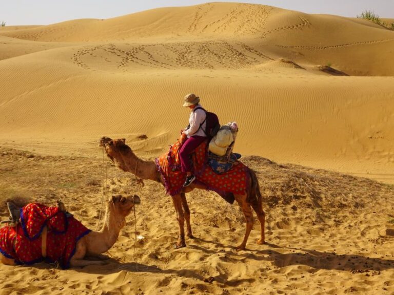 Overnight Camel Safari Non Touristic Deep Desert