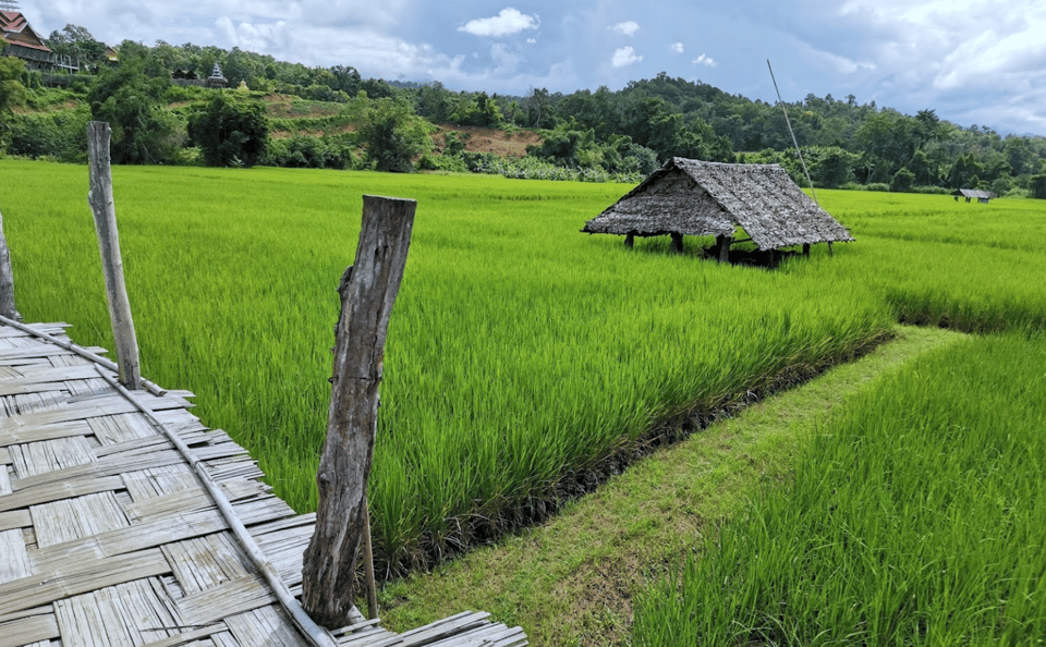 Pai: Mae Hong Son Highlights - Full Day Private Car Tour - Pang Ung and Pang Tong Palace