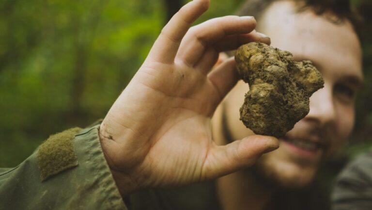 Paladini: Truffle Hunting Tour With 3-Course Tasting Menu