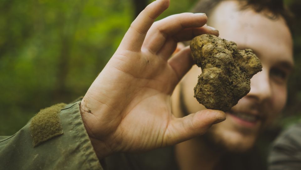 Paladini: Truffle Hunting Tour With 3-Course Tasting Menu - Experience Highlights