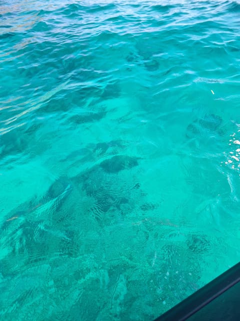 16 Best Cruises And Boat Tours In Mondello
