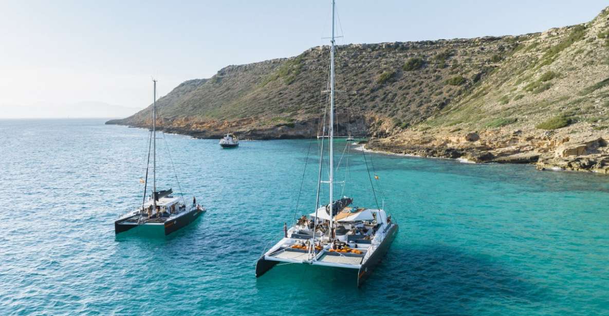 Palma De Mallorca: Half-Day Catamaran Tour With Buffet Meal - Tour Overview