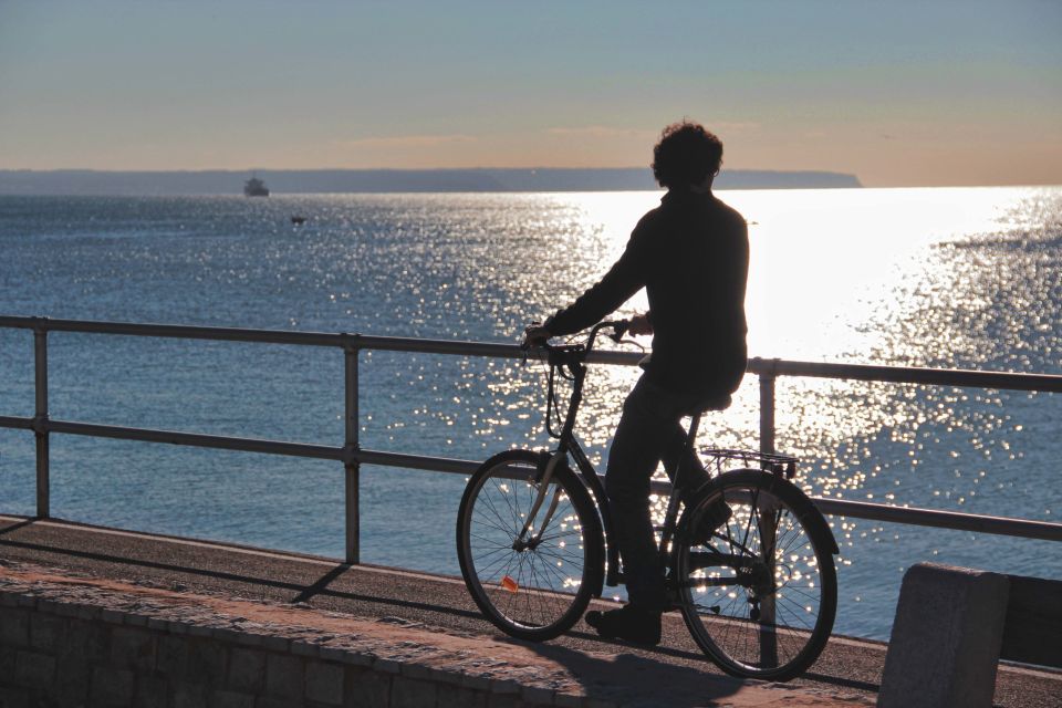 Palma De Mallorca Old Town Guided Bike Tour - Itinerary Highlights