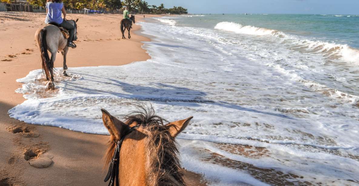 Palomino: Horseback Riding Tour on Palomino Beach - Overview of the Tour