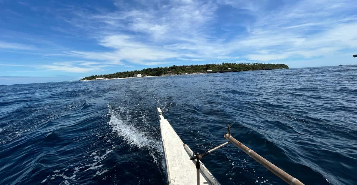 Pamilacan Island: Dolphins, Snorkel, Lunch and Walking Tour - Tour Overview and Pricing