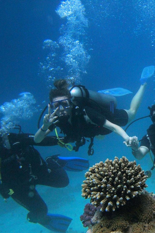 Panglao Bohol: Try Scuba Diving at Napaling and Sardines - Experience Overview