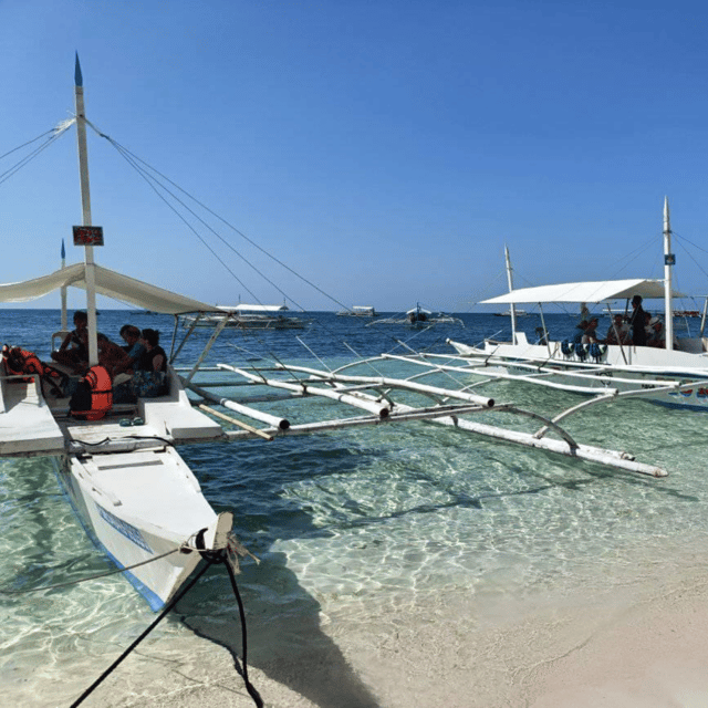 Panglao: Island Hopping W/Balicasag & Virgin Island (Shared) - Itinerary Highlights