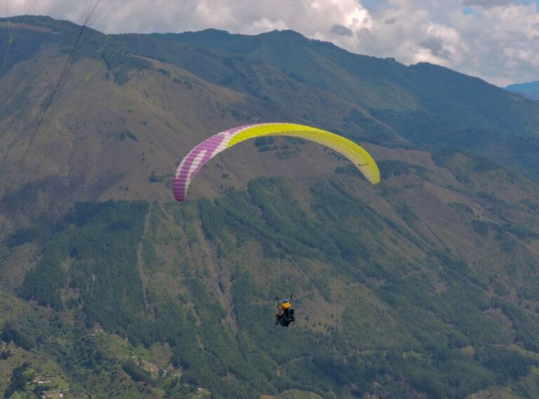 Paragliding Experience