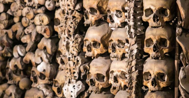 Paris: Catacombs Guided Tour