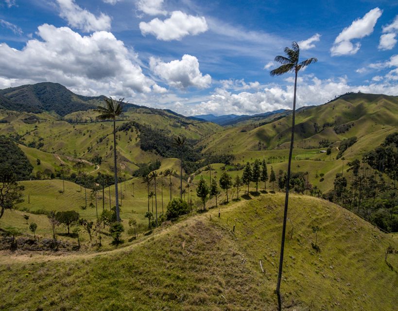 Pereira/Armenia: Private Cocora Valley & Salento Hiking Tour - Overview of the Tour