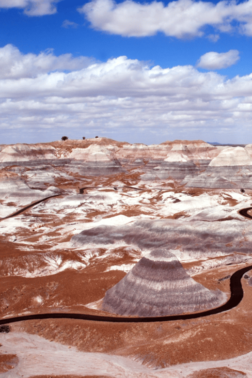 Petrified Forest National Park: Scenic Driving Tour