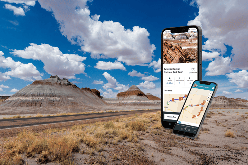 Petrified Forest National Park: Self-Guided GPS Audio Tour - Overview of Petrified Forest National Park