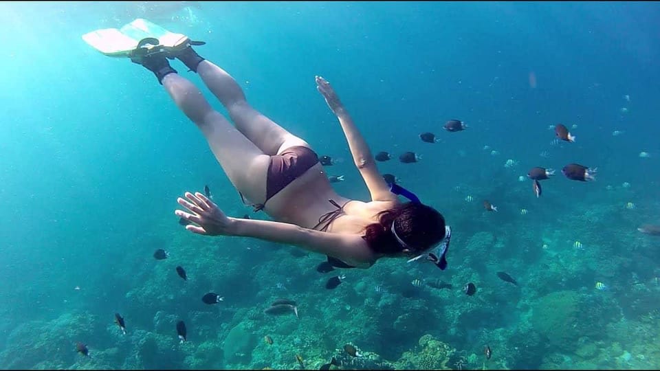 Phu Quoc Pro-Guided Coral Reef Diving Experience - Activity Overview