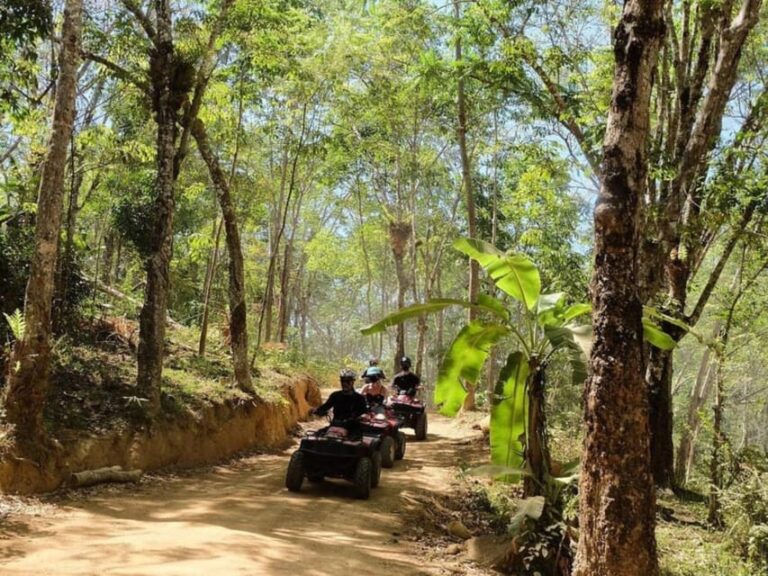 Phuket : ATV or Buggy to Jungle Adventure Tour