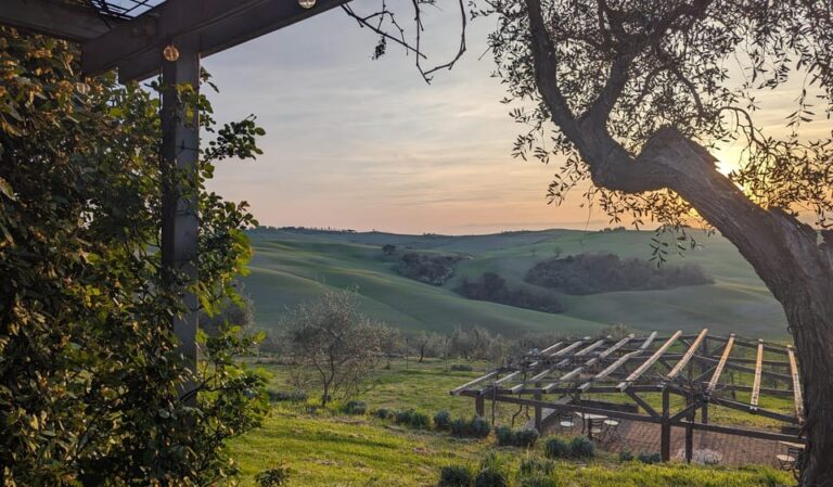 Pienza: Tuscan Cooking Class of Homemade Pastas and Cantucci