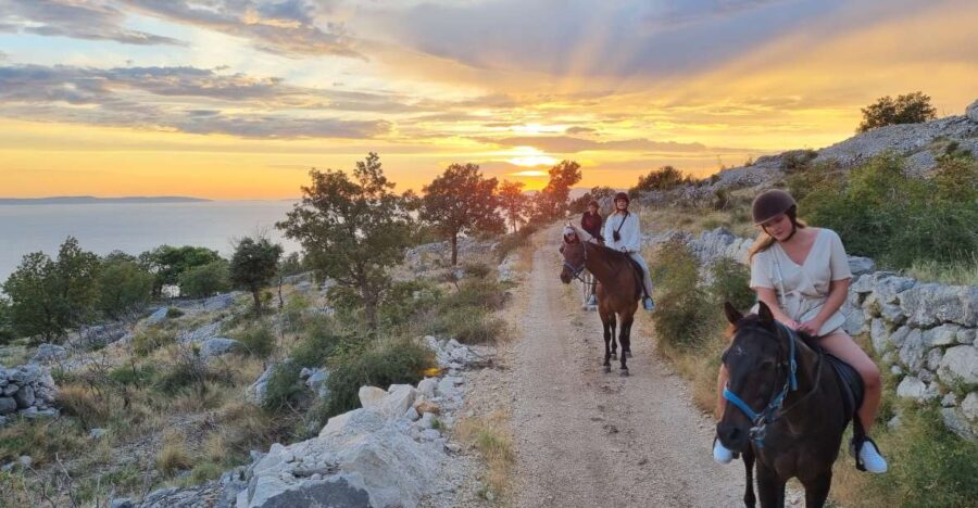 Podstrana: Guided Horseback Riding Experience
